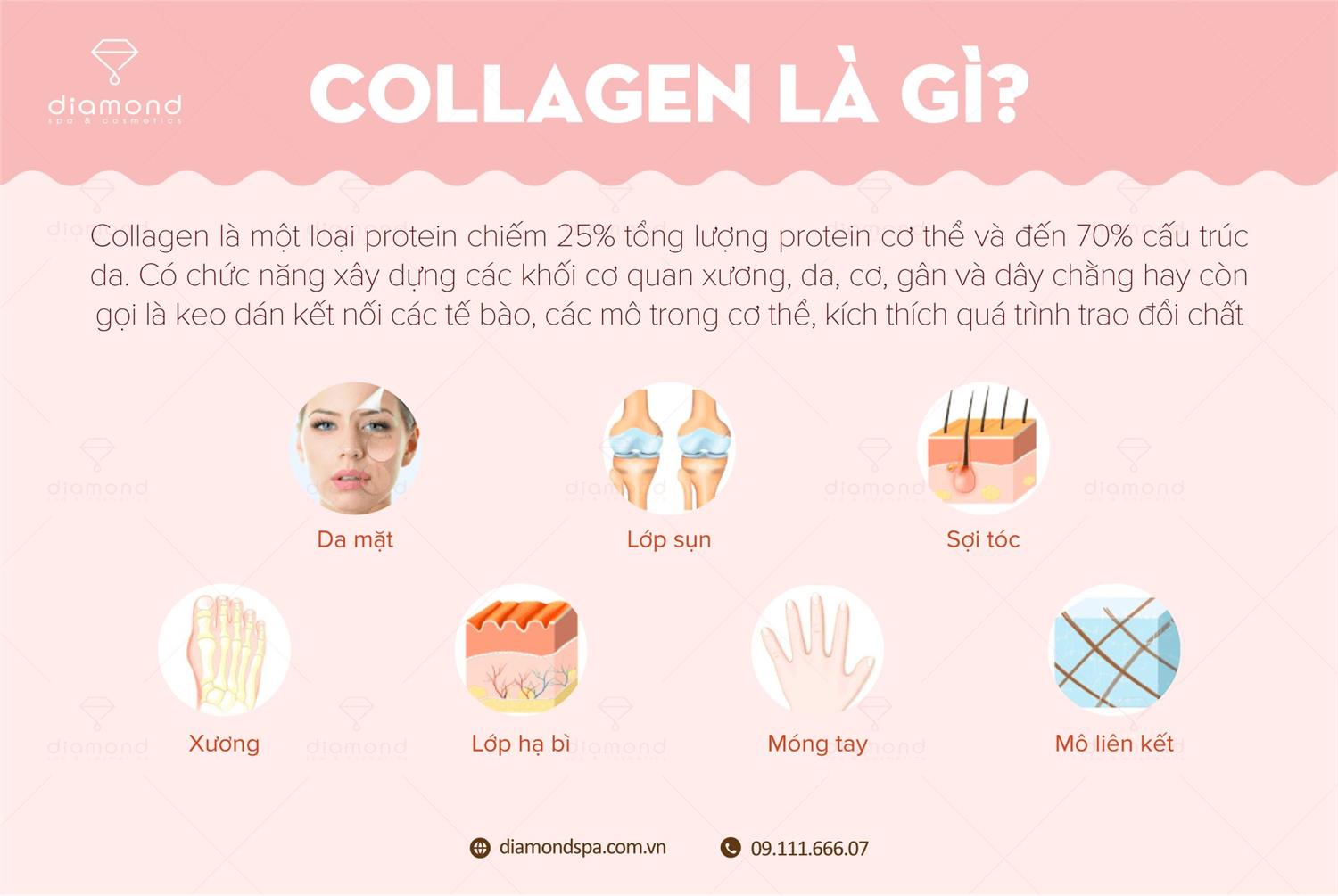 COLLAGEN LÀ GÌ VÀ TÁC DỤNG ĐỐI VỚI LÀN DA NHƯ THẾ NÀO?