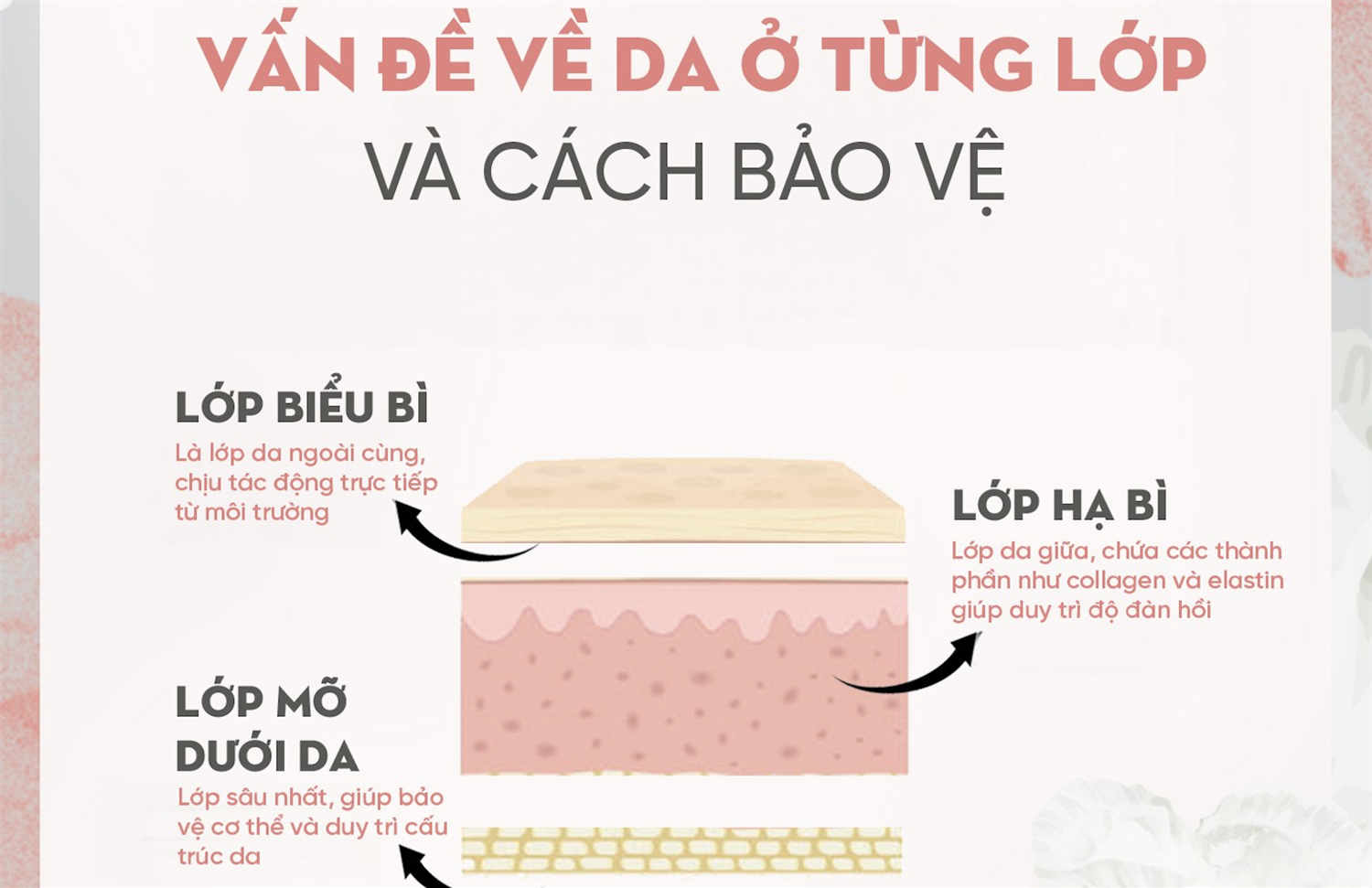 VẤN ĐỀ VỀ DA Ở TỪNG LỚP VÀ CÁCH BẢO VỆ